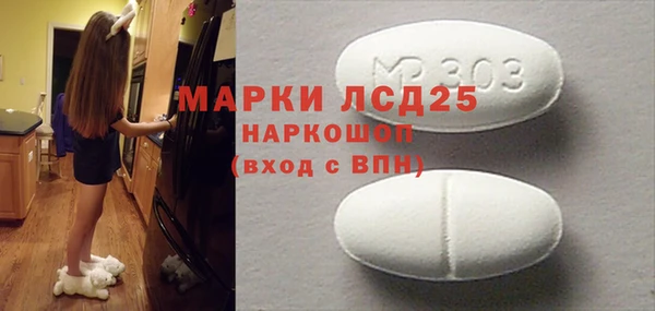 ГАЛЛЮЦИНОГЕННЫЕ ГРИБЫ Кирсанов
