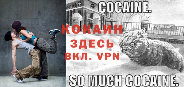 твердый Балахна