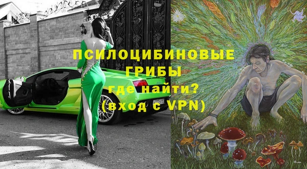 тгк Тайга