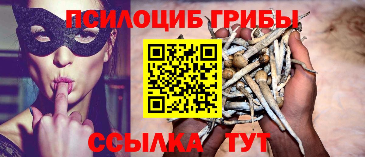 Гай  Псилоцибиновые грибы GOLDEN TEACHER  Вход с VPN 