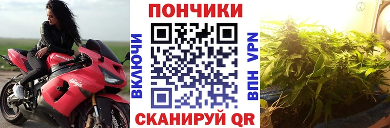 Марихуана план  Гай 